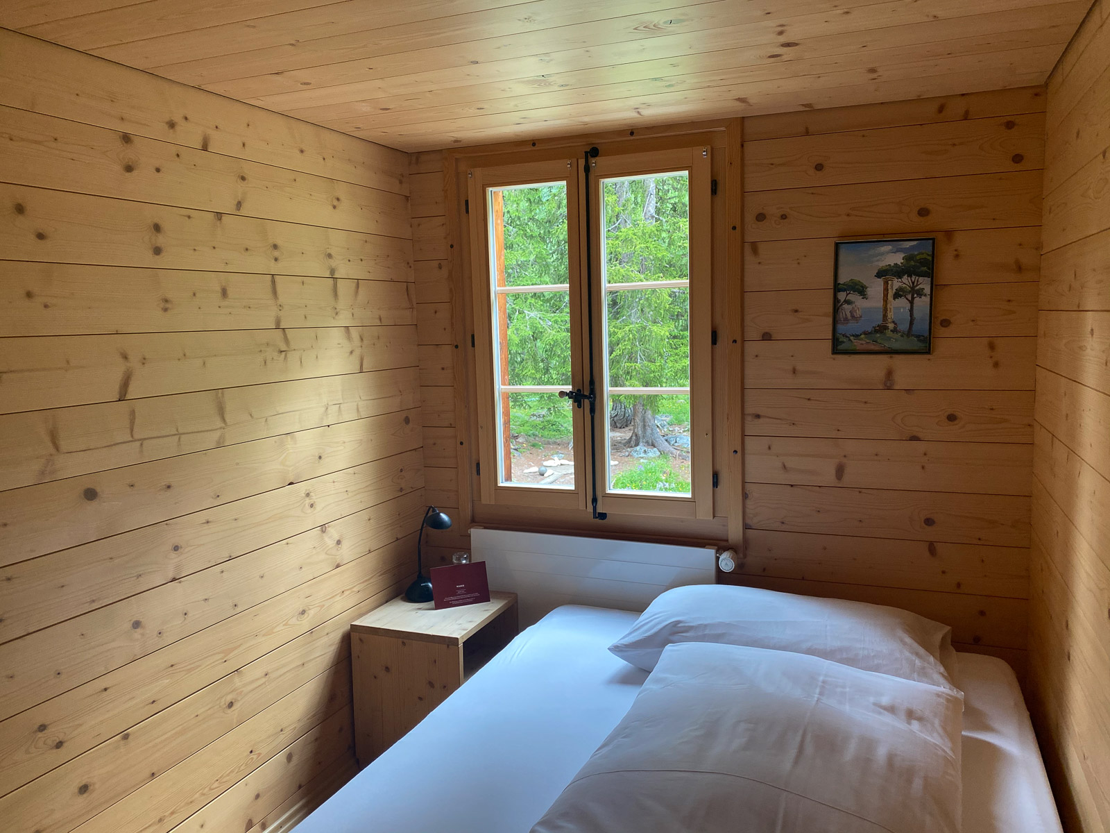 Standard single room